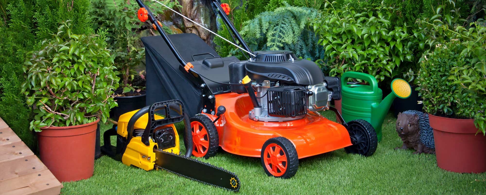 Grouping of lawn care equipment including a walk-behind push lawn mower and gas chainsaw